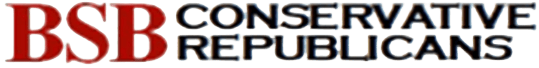 Bulverde Spring Branch Conservative Republicans Board of Directors, and Trey Trainor, candidate for Congress in Texas's 21st Congressional District